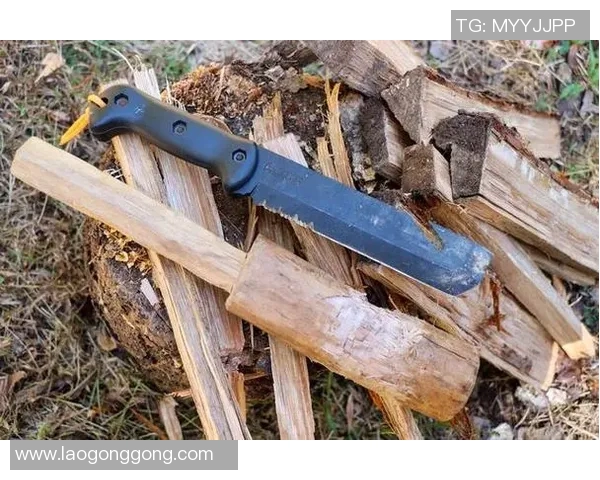 阿尔法-卡巴主帅变阵，打造全新战术体系