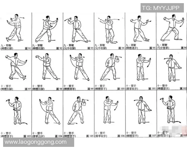 八极拳与太极拳的深度比较与融合探讨之道与技的交汇