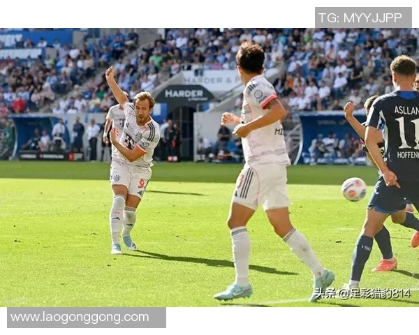 拜仁轻松告捷，主场击败不莱梅捧走胜利宝座