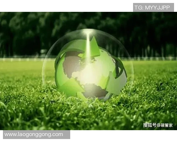 戈丁披露关键信息泄露事件_公司将加强数据保护力度