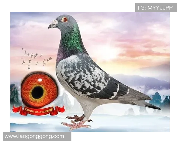 亨利比奥纳尔：德甲之星，世界扶翔的王者