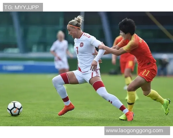 法国与丹麦足球历史交锋战绩分析及未来展望